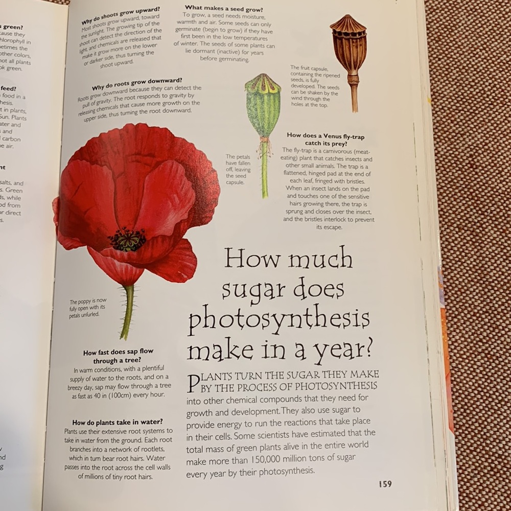 Hard Cover Book - Picture 11 of 14